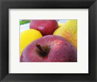 Framed Closeup of an Apple, Lemon and Pear