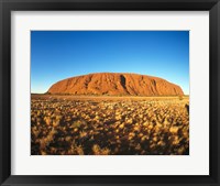 Framed Ayers Rock, Uluru-Kata Tjuta National Park, Australia