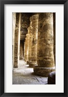 Framed Hieroglyphics,Temples of Karnak, Luxor, Egypt