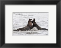 Framed Alpha Seals