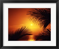 Framed Kihei Maui Hawaii USA