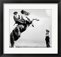 Framed Low angle view of a cowboy riding a bucking horse