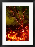 Framed Jack o' lanterns lit up at night, Roger Williams Park Zoo, Providence, Rhode Island, USA