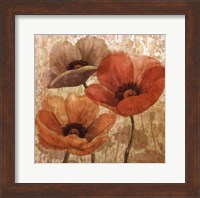 Framed Poppy Allure II