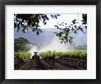 Framed Tractor in a field, Napa Valley, California, USA