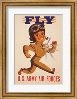 Framed Fly U.S. Army Air Forces