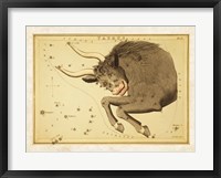 Framed Taurus Zodiac Sign