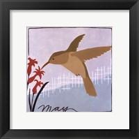 Avian May Framed Print
