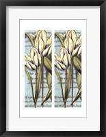 Framed 2up French Tulip I