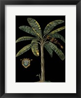 Palm & Crest on Black II Framed Print