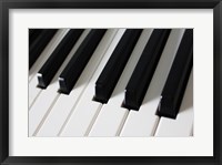 Framed Piano Keys