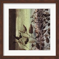 Framed Painted Botanical IV