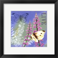 Butterflies Inspire I Framed Print