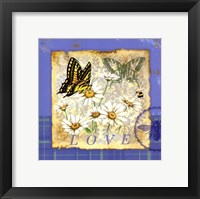 Papillion Plaid I Framed Print