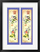 Blooming Garden V Framed Print