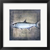 Ocean Fish X Framed Print