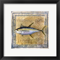 Framed Ocean Fish XII