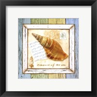 Sea Treasures I Framed Print