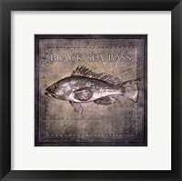 Framed Ocean Fish II