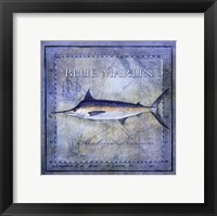 Ocean Fish V Framed Print