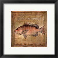 Ocean Fish VII Framed Print