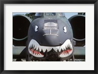 Framed Flying Tigers II