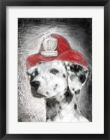 Framed Firefighter Dalmation