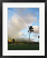 Framed Rainbow in Hawaii