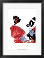 Butterflies Dance IX Framed Print