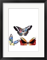 Framed Butterflies Dance II