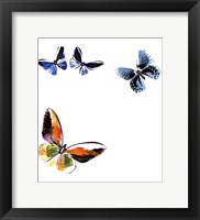 Framed Butterflies Dance VII