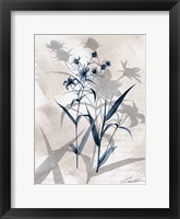 Indigo Bloom IV Framed Print