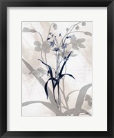 Framed Indigo Bloom III