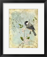 Songbird Sketchbook II Framed Print