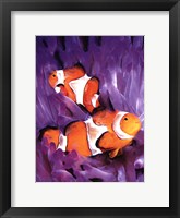 Framed Jeweled Fish I