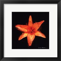 Vibrant Flower VI Framed Print