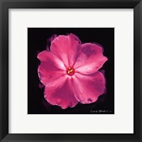 Vibrant Flower III Framed Print