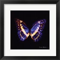 Framed Techno Butterfly II