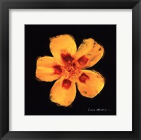 Vibrant Flower X Framed Print