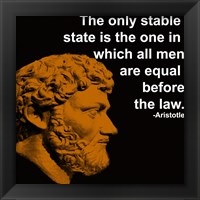 Framed Aristotle Quote
