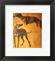 Framed Study of Greyhounds