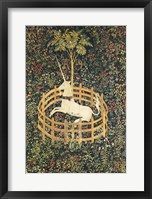 Framed Unicorn in Captivity