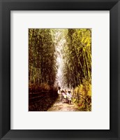 Framed Bamboo Path