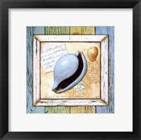 Sea Treasures IV Framed Print