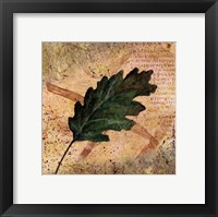 Antiqued Leaves II Framed Print