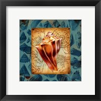 Seaside Gifts III Framed Print