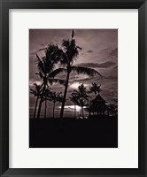 Palms At Night I Framed Print