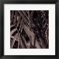 Framed Bamboo Study II