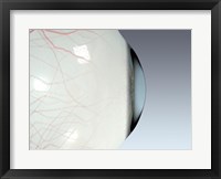 Close-up of the human eyeball side view Framed Print