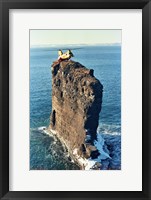 Framed Labrador helicopter landing Bell Island